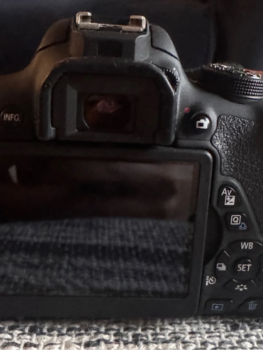Canon branded dslr
